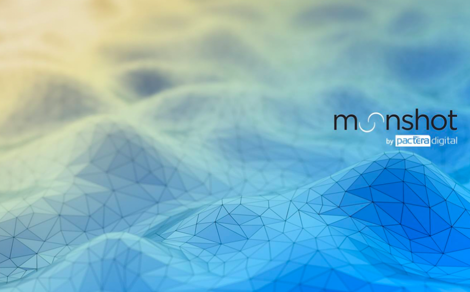 Moonshot